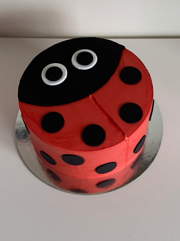 Ladybug Cake