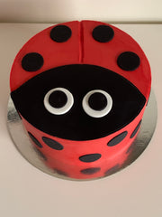 Ladybug Cake