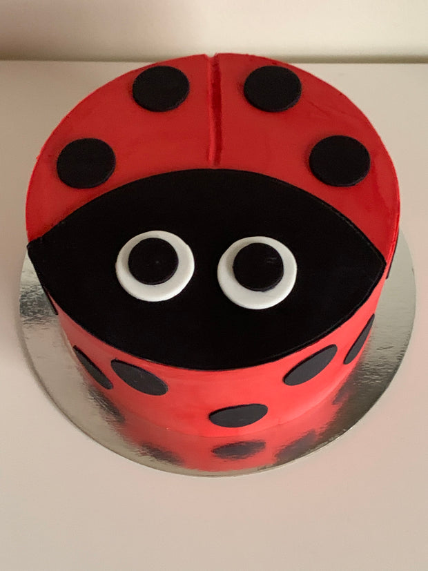 Ladybug Cake